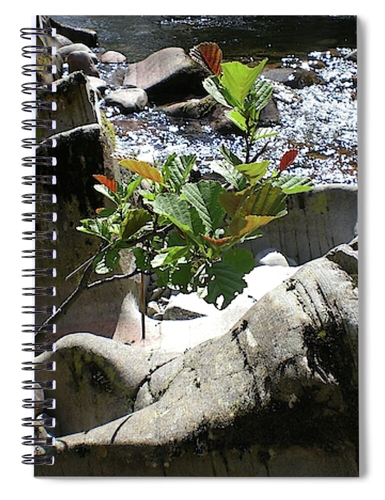 Wate Spiral Notebook featuring the photograph The power of water by Martin Smith