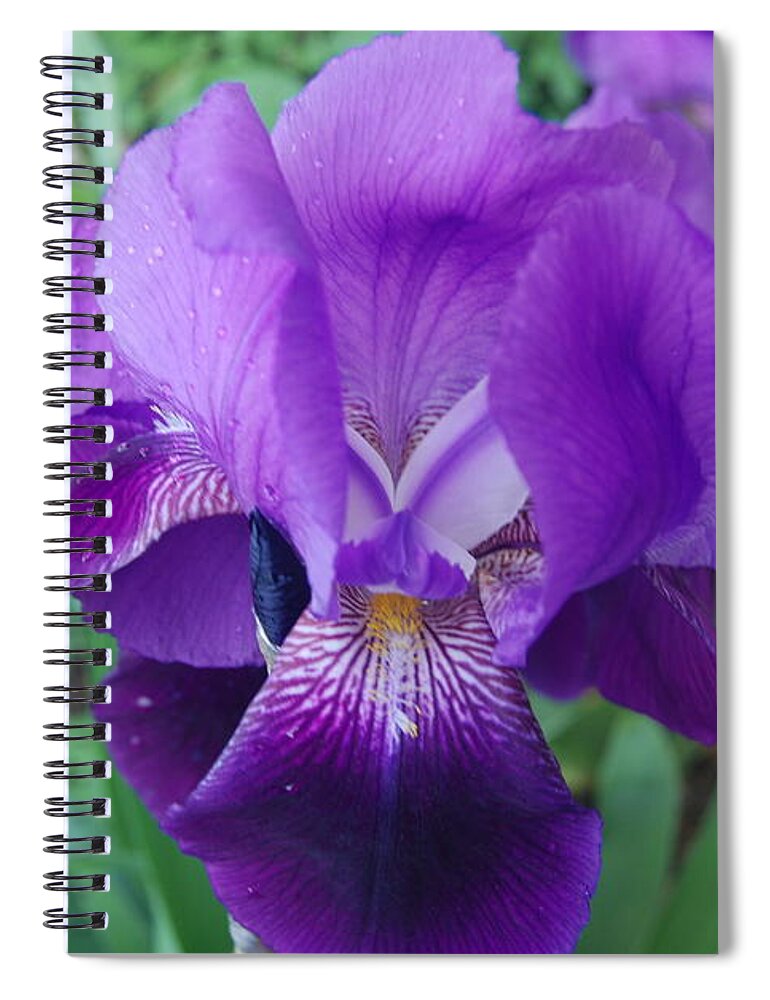 Flowers Spiral Notebook featuring the photograph The Purple Iris Flower by Ee Photography