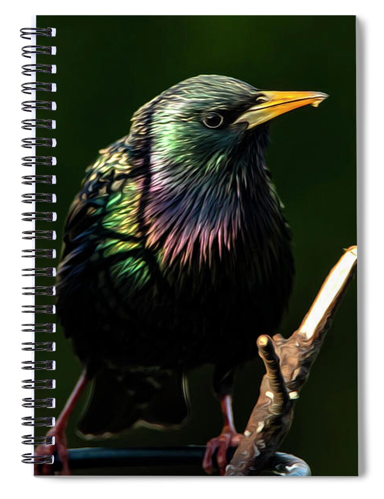 Starling Spiral Notebook featuring the photograph The Starling Bird Painting by Sandra J's