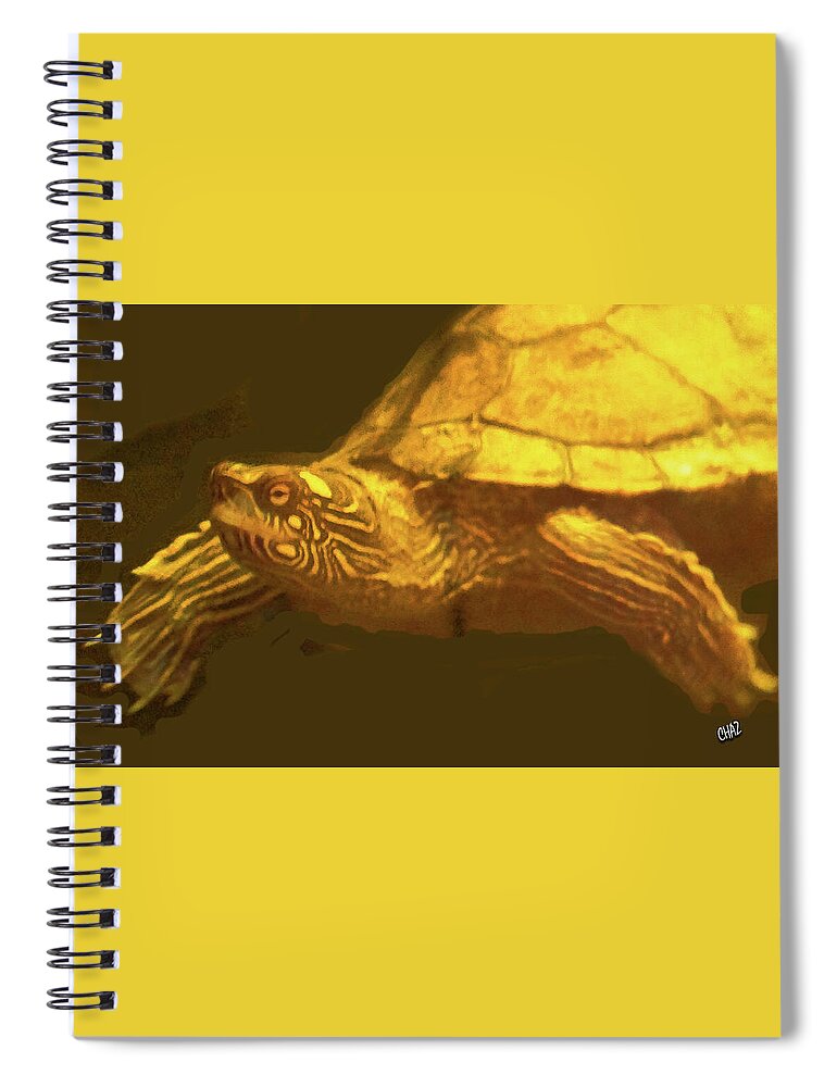 Turtles Spiral Notebook featuring the photograph The Swimmer by CHAZ Daugherty
