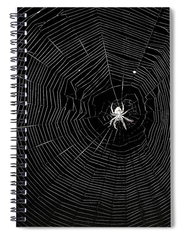 Spider Spiral Notebook featuring the photograph The Web by Jerry Connally