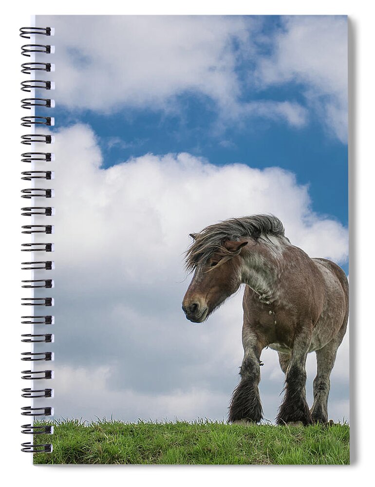 Horse Spiral Notebook featuring the photograph The Wind In My Hair by C. Van Der Have