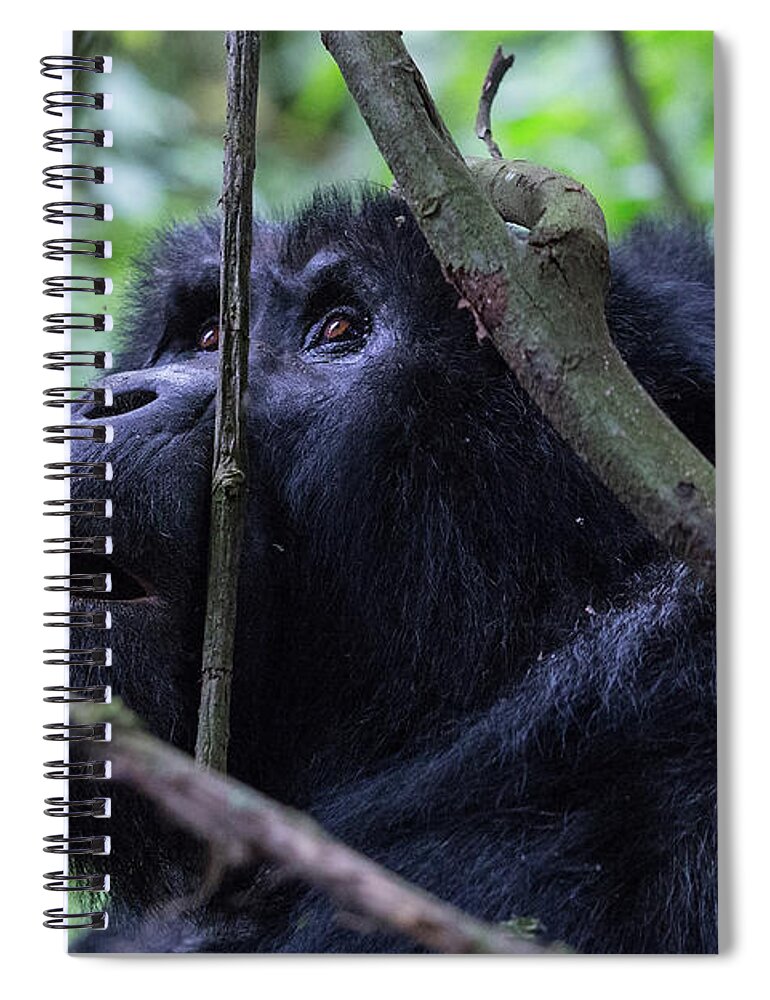 Uganda Spiral Notebook featuring the photograph The Wonder by Peter Kennett