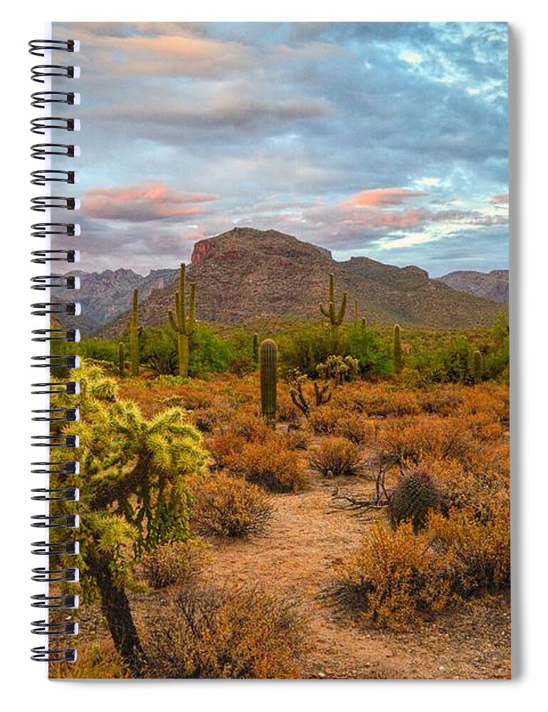 Thimble Peak Spiral Notebook featuring the photograph Thimble Peak and Cholla from Sabino Canyon, Tucson by Chance Kafka