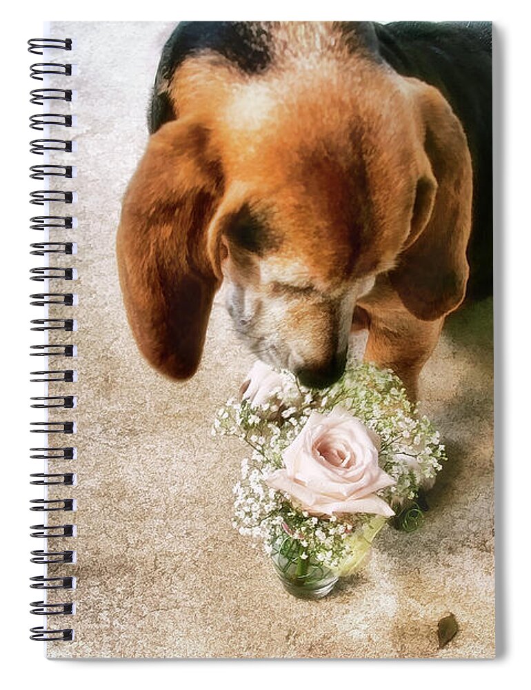 Dog Spiral Notebook featuring the photograph This Flower Is For You by Joan Bertucci