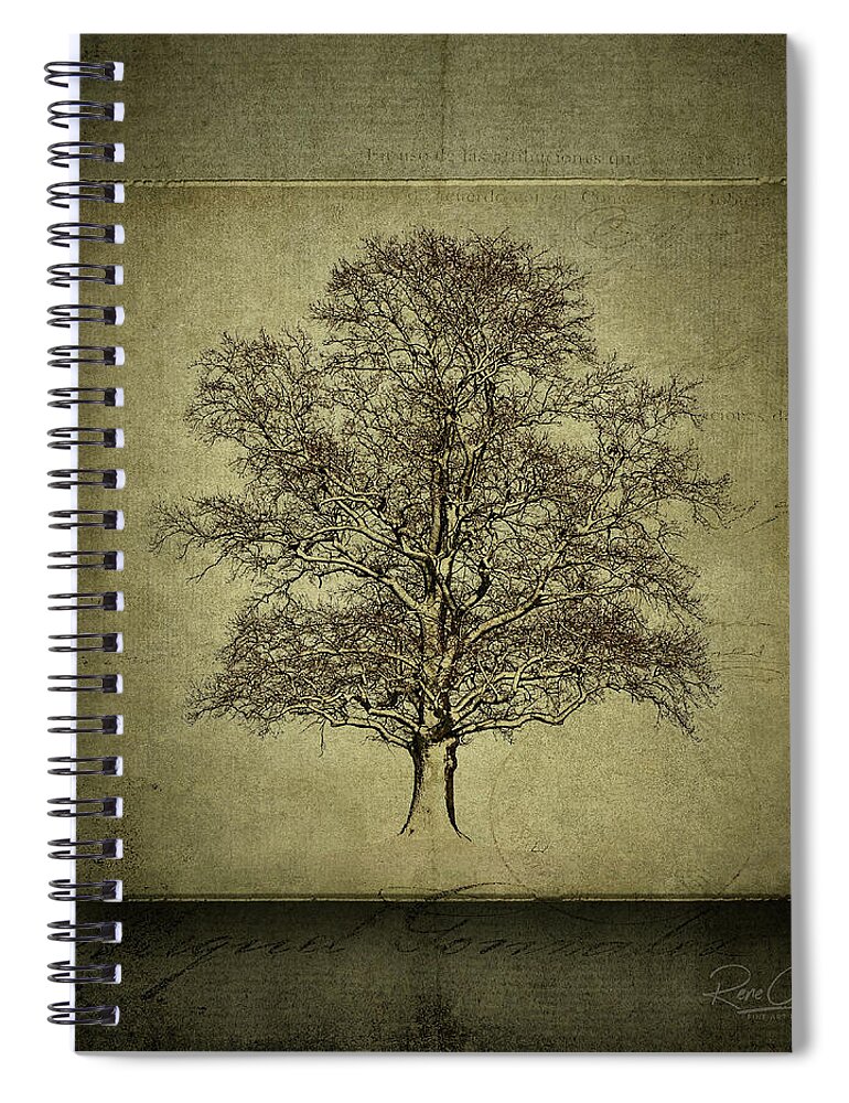 Trees Spiral Notebook featuring the photograph This Tree Is On The Square by Rene Crystal