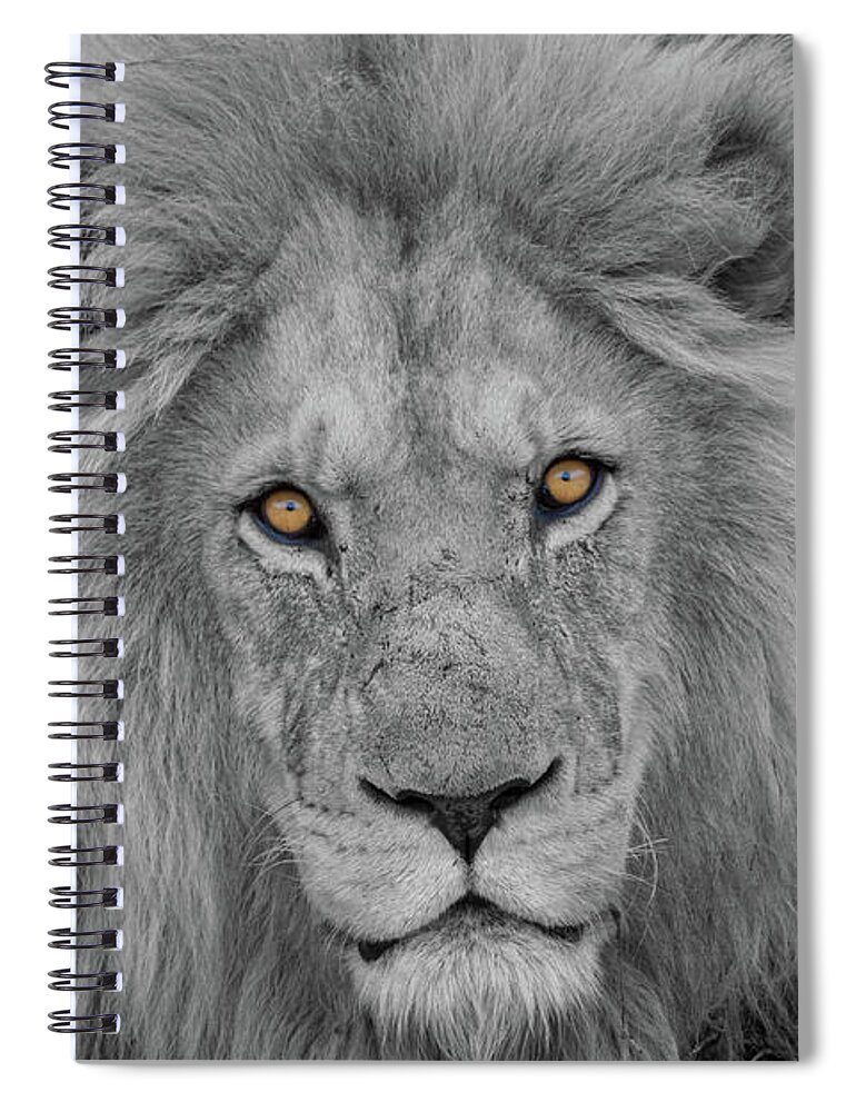 Selective Color Spiral Notebook featuring the photograph Those Eyes by Randy Robbins