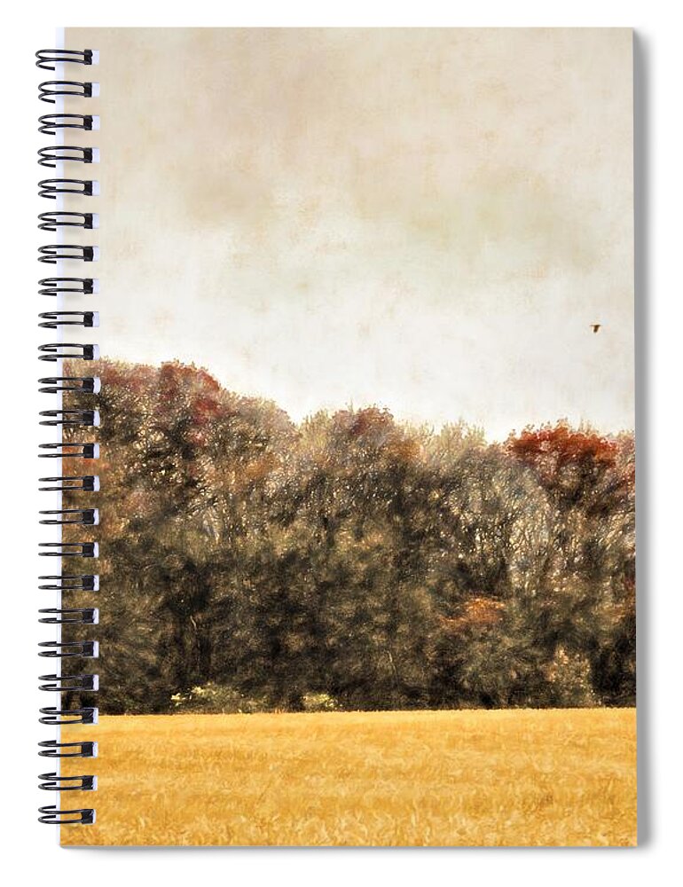 Landscape Spiral Notebook featuring the digital art Three Crows and Golden Field by Diane Chandler