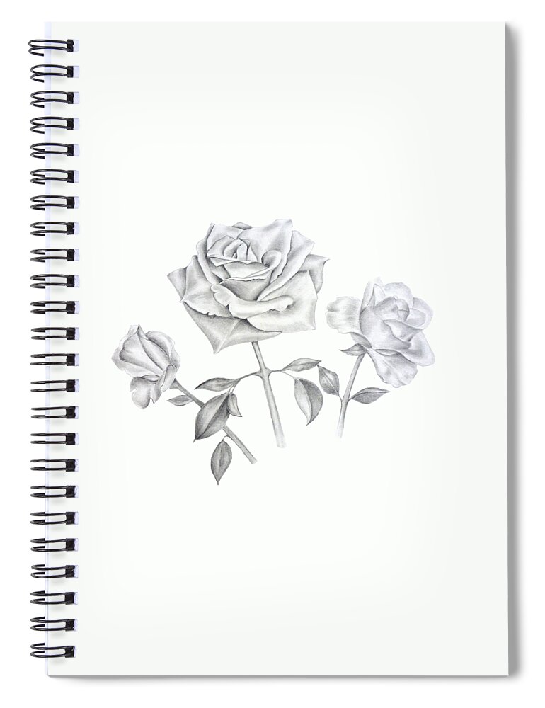 Drawing Spiral Notebook featuring the drawing Three Roses by Elizabeth Lock