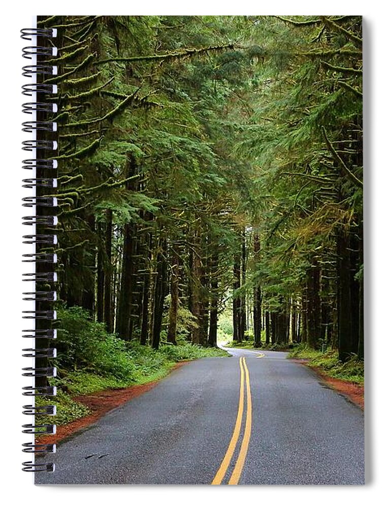 Curve Spiral Notebook featuring the photograph Through the Rainforest by David Andersen