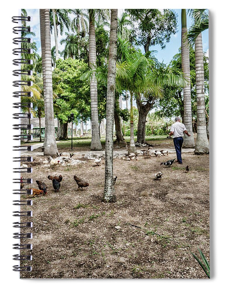 Time To Feed The Chickens Spiral Notebook featuring the photograph Time to Feed the Chickens by Sharon Popek