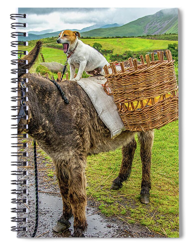 Tinker Spiral Notebook featuring the photograph Tinker's Two by Marcy Wielfaert