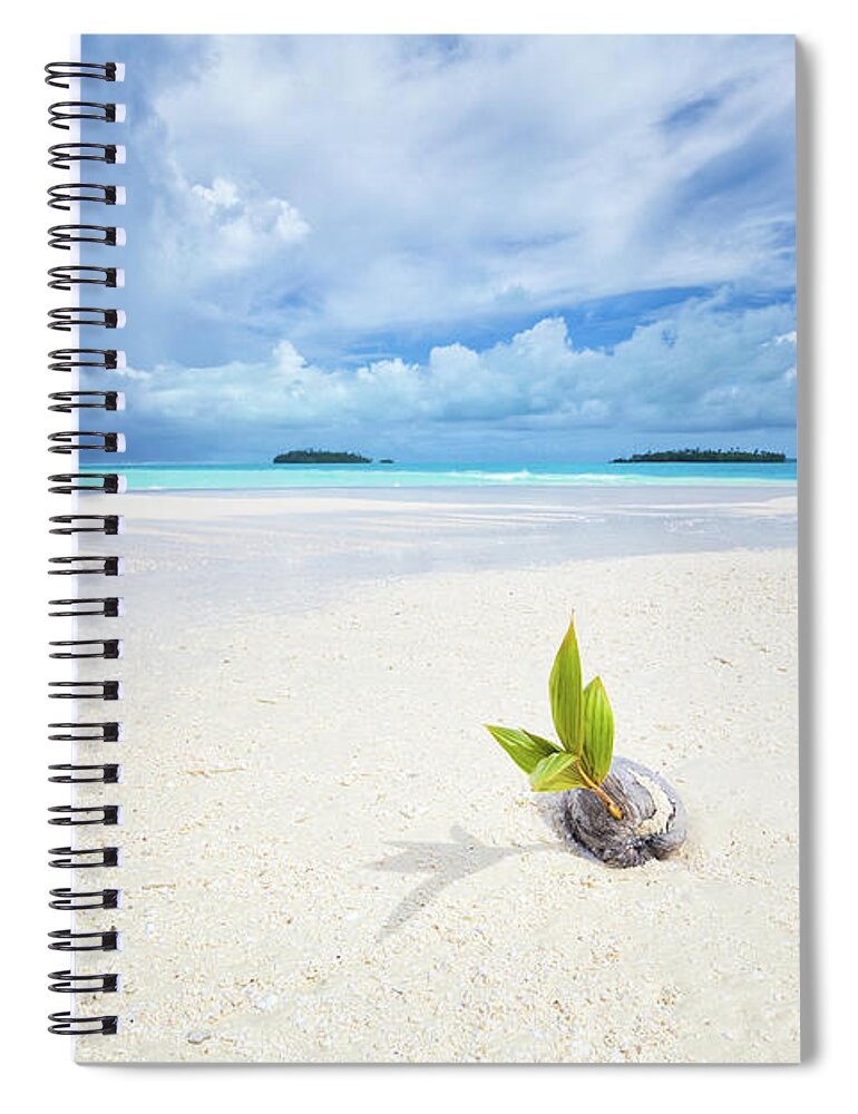 Coconut Spiral Notebook featuring the photograph To Be a Coconut by Becqi Sherman
