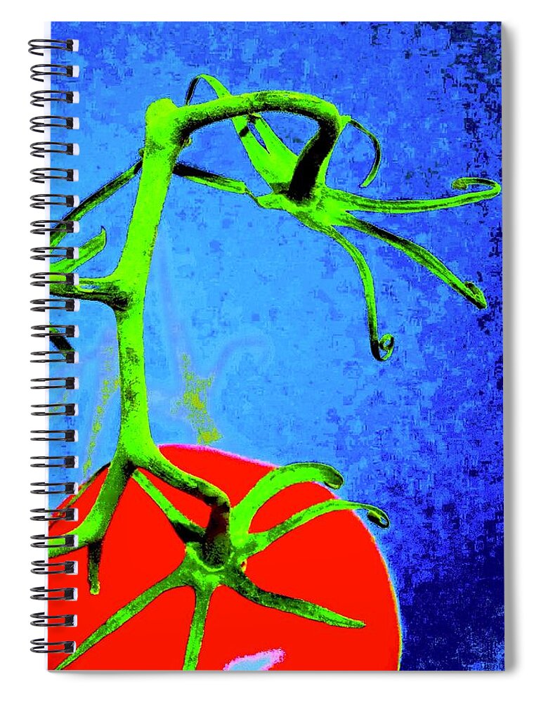 Photo Stream Spiral Notebook featuring the photograph Tomato Red by Debra Grace Addison