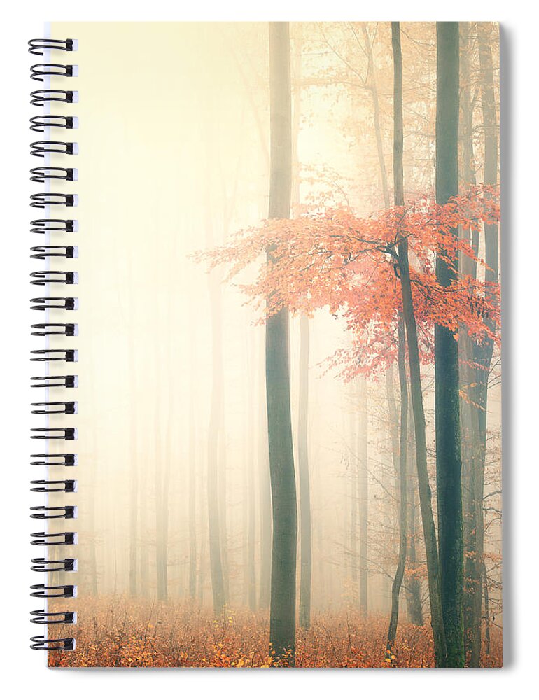 Forest Spiral Notebook featuring the photograph Took His Time by Philippe Sainte-Laudy