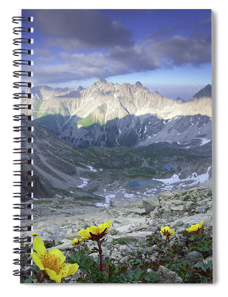 Scenics Spiral Notebook featuring the photograph Top View With Flowers From The by Wingmar