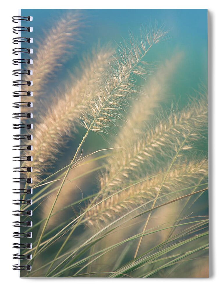Nature Spiral Notebook featuring the photograph Touches 7 by Jaroslav Buna