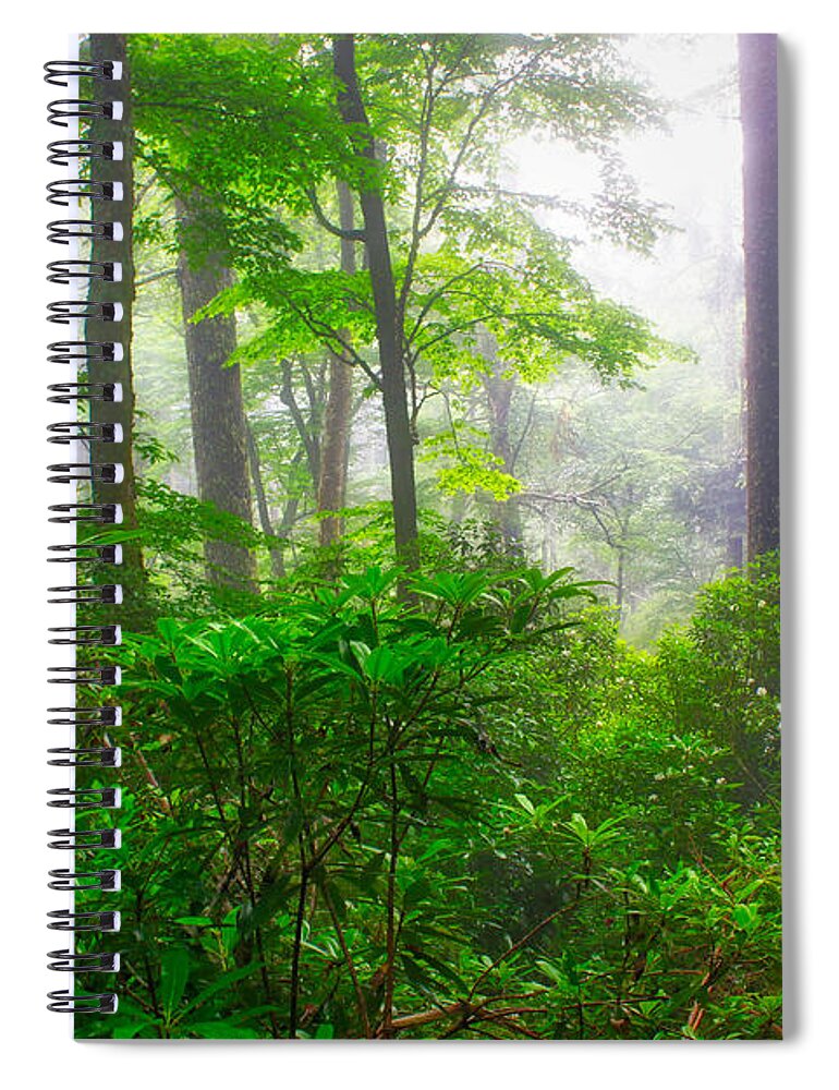 Art Prints Spiral Notebook featuring the photograph Ramsey Cascade Trail by Nunweiler Photography
