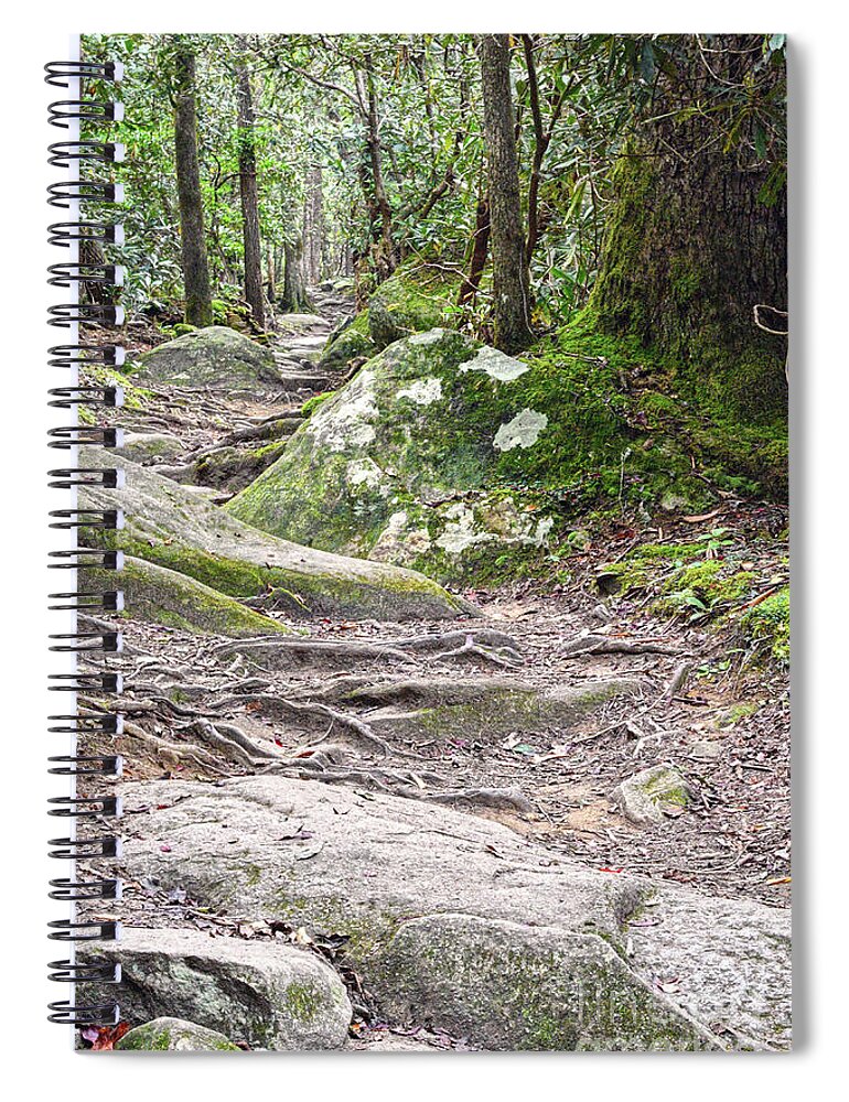Ramsey Cascades Spiral Notebook featuring the photograph Trail To Ramsey Cascades by Phil Perkins