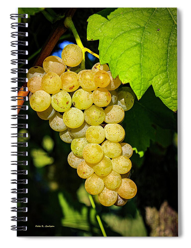 Grapes Spiral Notebook featuring the photograph Traminette by Dale R Carlson