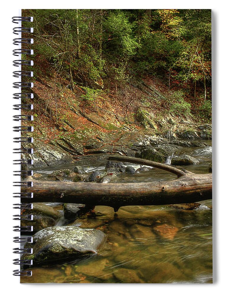 Tree Spiral Notebook featuring the photograph Tree Across The River by Mike Eingle