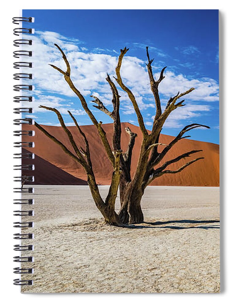 Deadvlei Spiral Notebook featuring the photograph Tree and shadow in Deadvlei, Namibia by Lyl Dil Creations