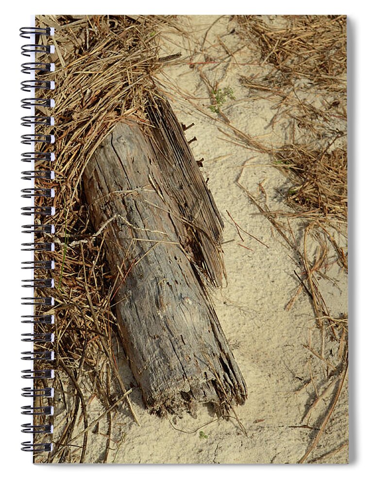 Tree Spiral Notebook featuring the photograph Tree in the Reeds by Maggy Marsh