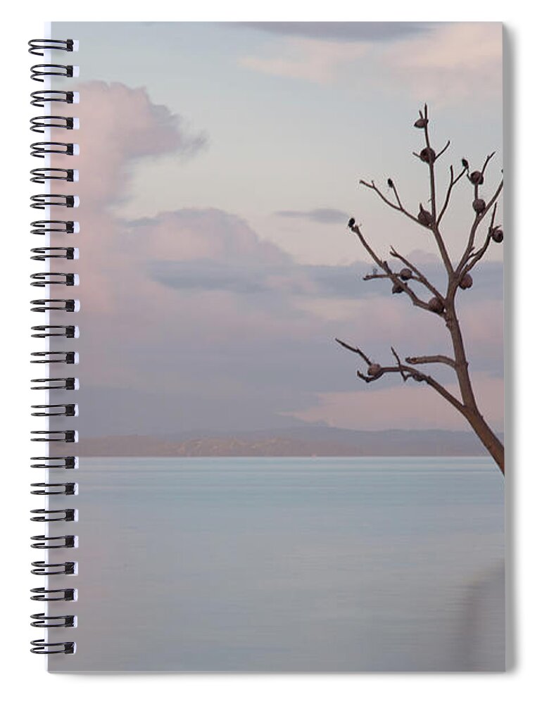 Scenics Spiral Notebook featuring the photograph Tree In Water by Flash Parker