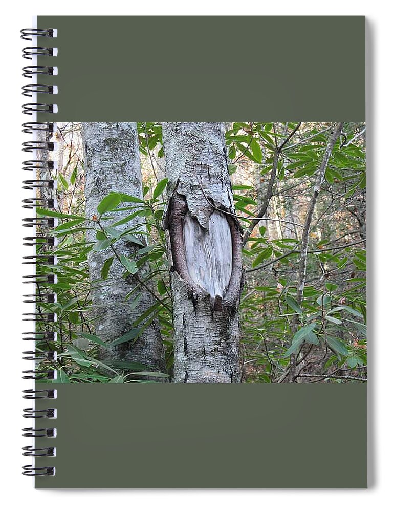 Heart Spiral Notebook featuring the photograph Tree loves by Kim McFarlane
