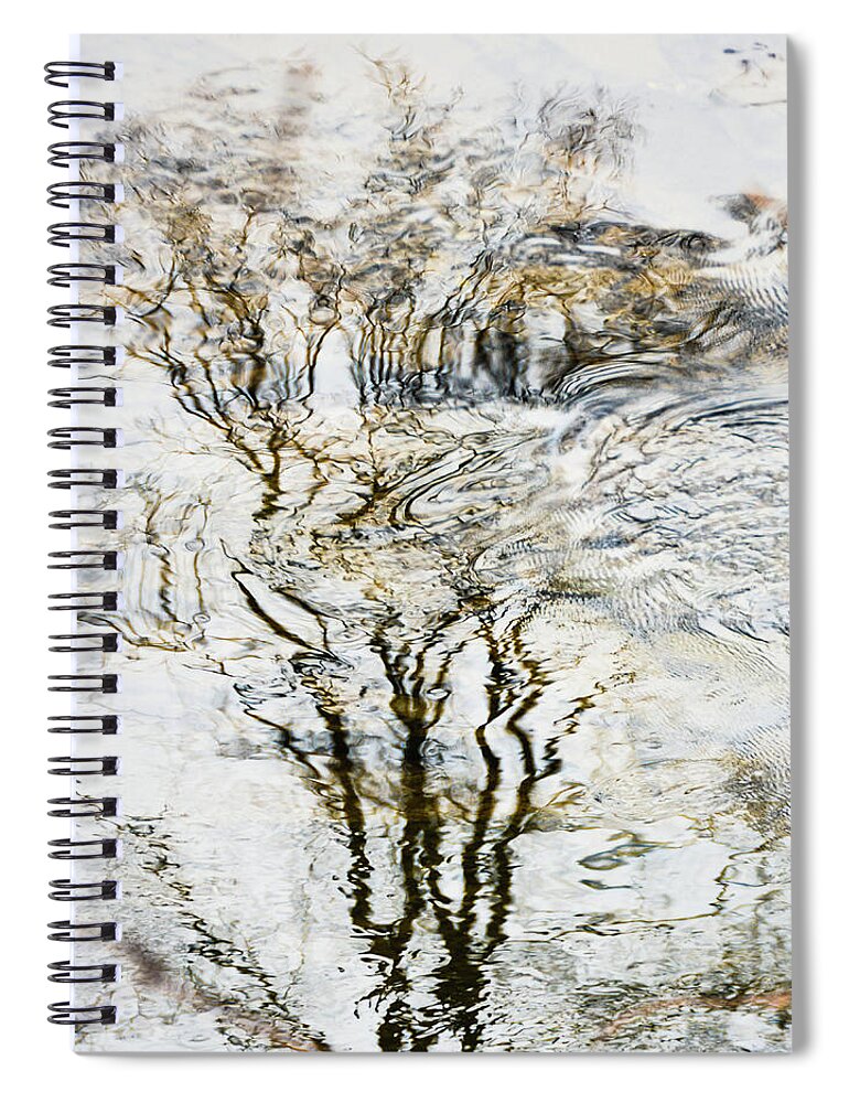Water Spiral Notebook featuring the photograph Tree of Water by Tana Reiff