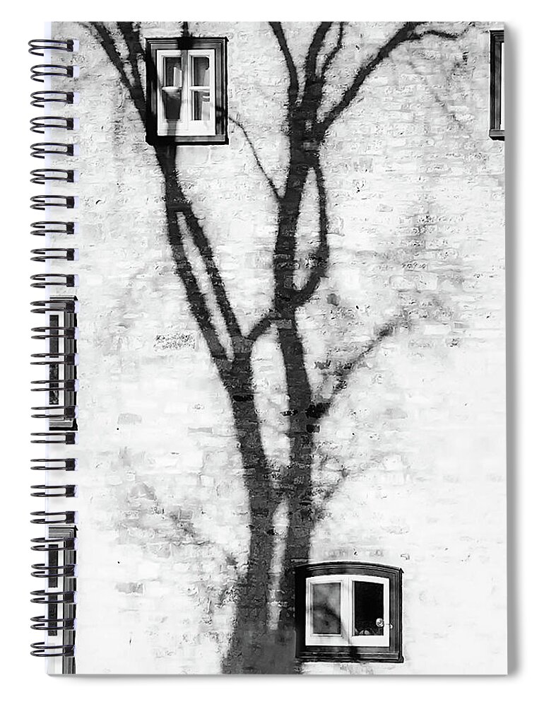 Tree Shadow Spiral Notebook featuring the photograph Tree Shadow by Bill Cain