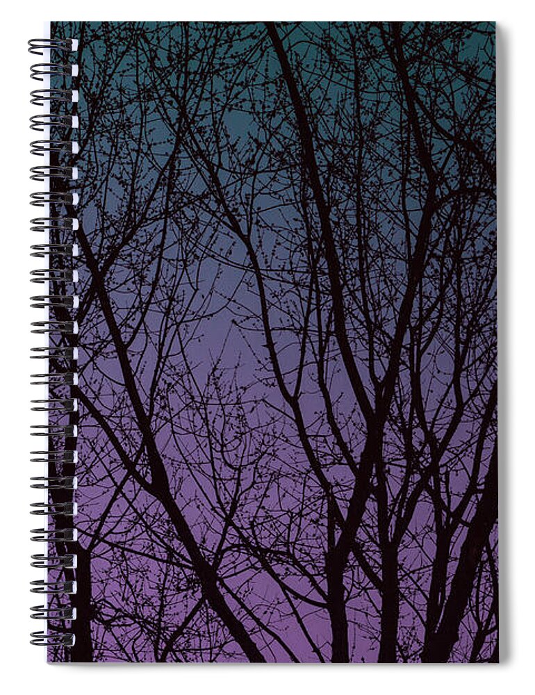 Trees Spiral Notebook featuring the digital art Tree Silhouette Against Blue and Purple by Jason Fink