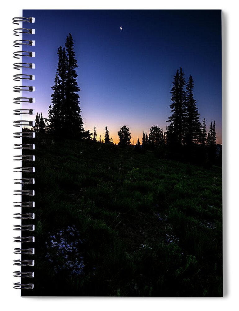 Tree Spiral Notebook featuring the photograph Tree Silhouette Sunrise 2 by Pelo Blanco Photo