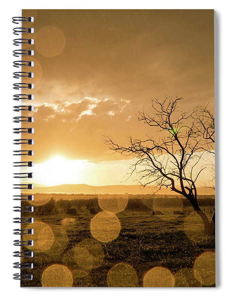 Sunset Spiral Notebook featuring the photograph Tree Sunset by Wesley Aston