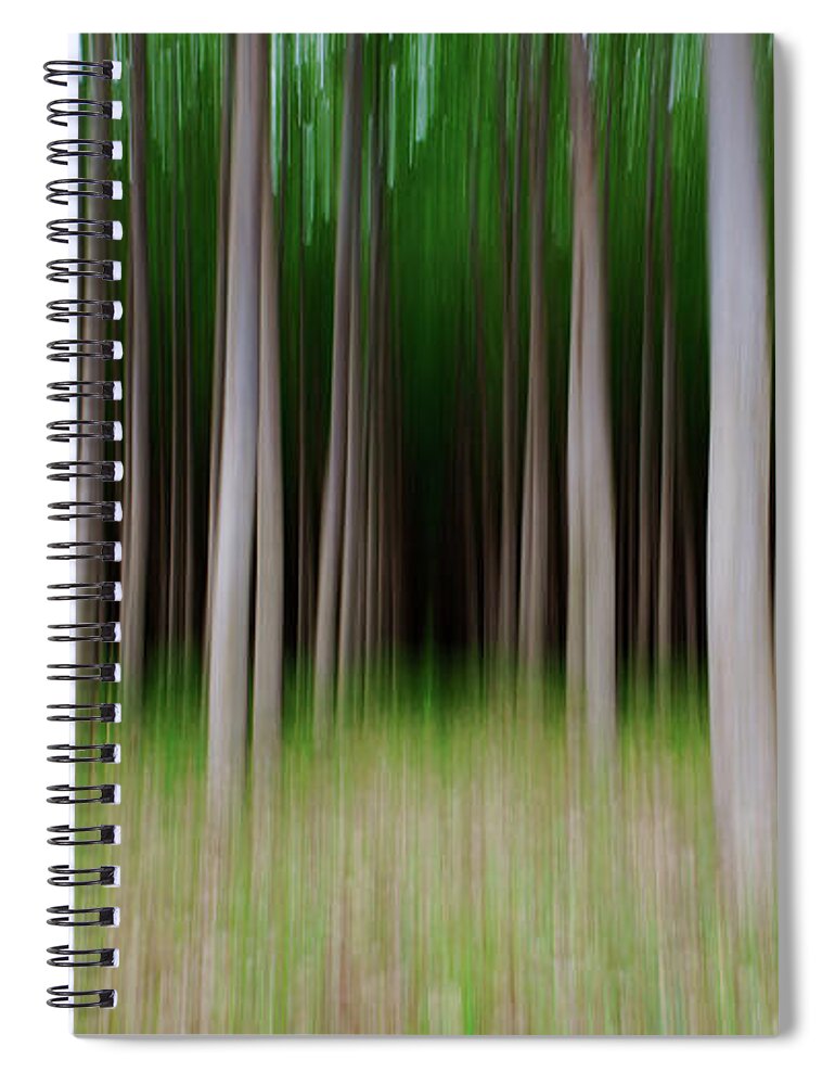 Tranquility Spiral Notebook featuring the photograph Tree Vertical Panning by Vadim Dmitriyev Photography