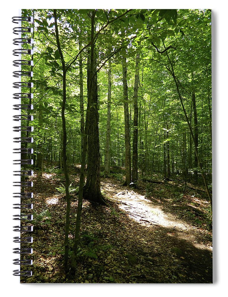  Spiral Notebook featuring the photograph Trees-2 by Adrian Maggio