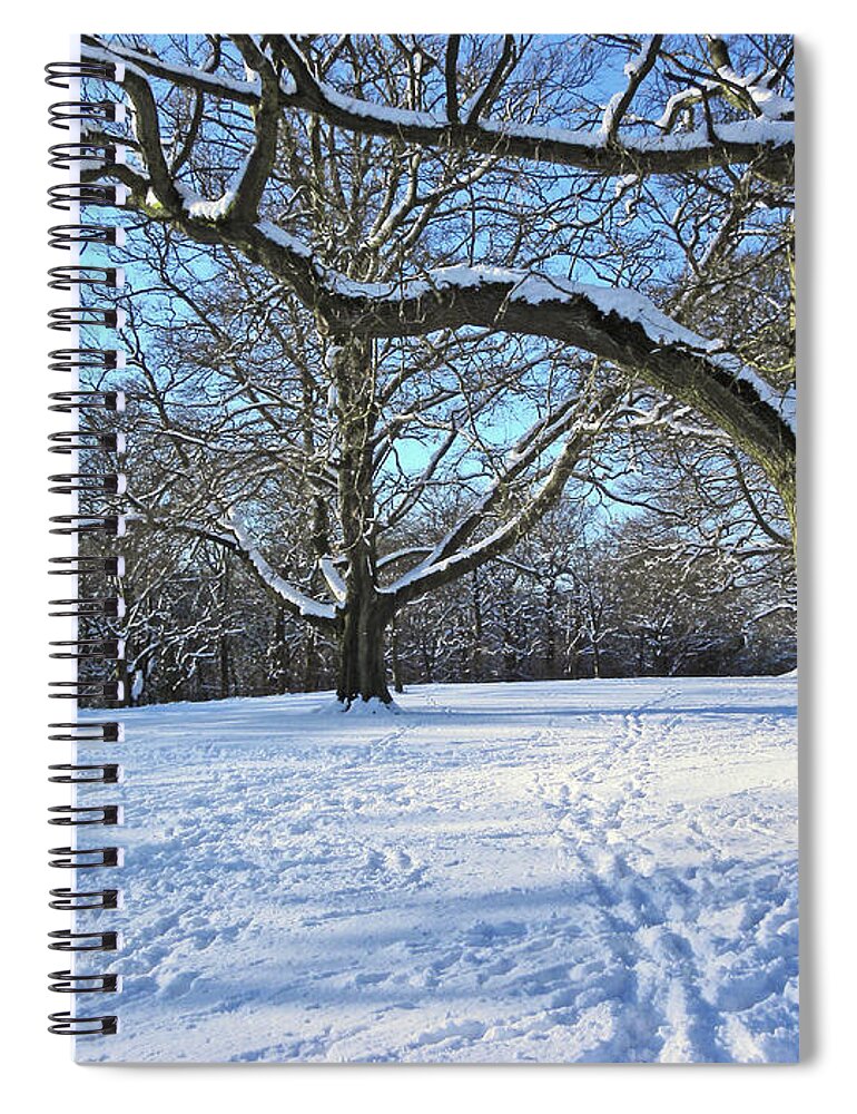 Snow Spiral Notebook featuring the photograph Trees in The Snow by Lachlan Main