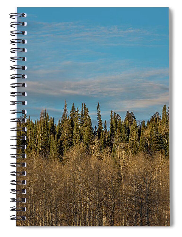 Trees Spiral Notebook featuring the photograph Treescape, Wyoming by Julieta Belmont