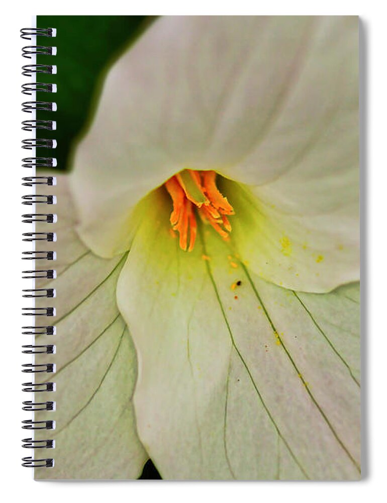 Macro Photography Spiral Notebook featuring the photograph Trillium Closeup by Meta Gatschenberger