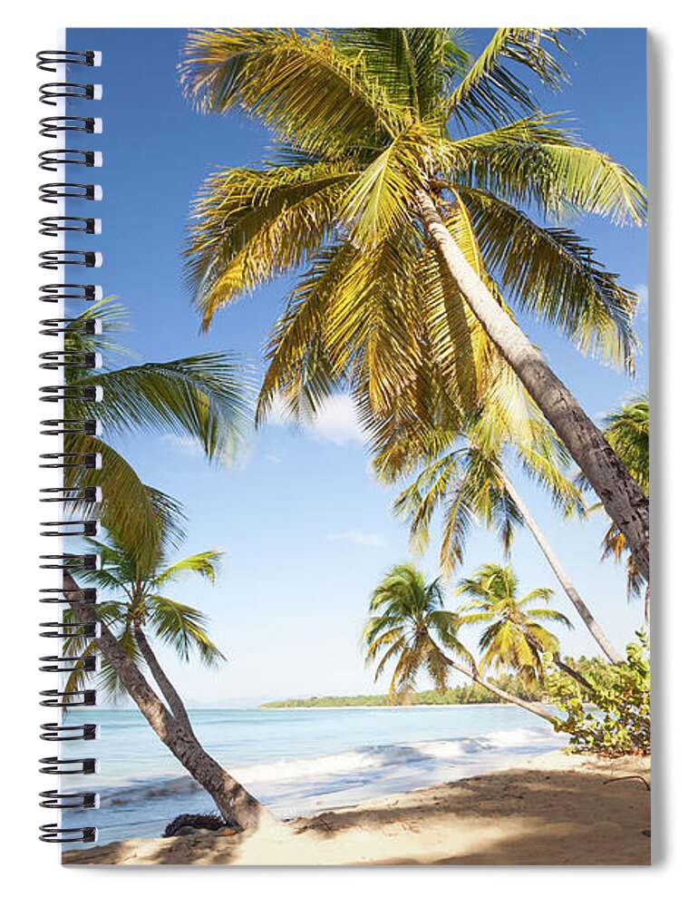 Tranquility Spiral Notebook featuring the photograph Tropical Beach With Palm Trees In The by Matteo Colombo