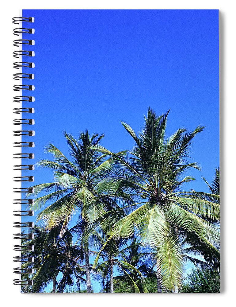 Tropical Tree Spiral Notebook featuring the photograph Tropical Coconut Palm Trees by Fstoplight