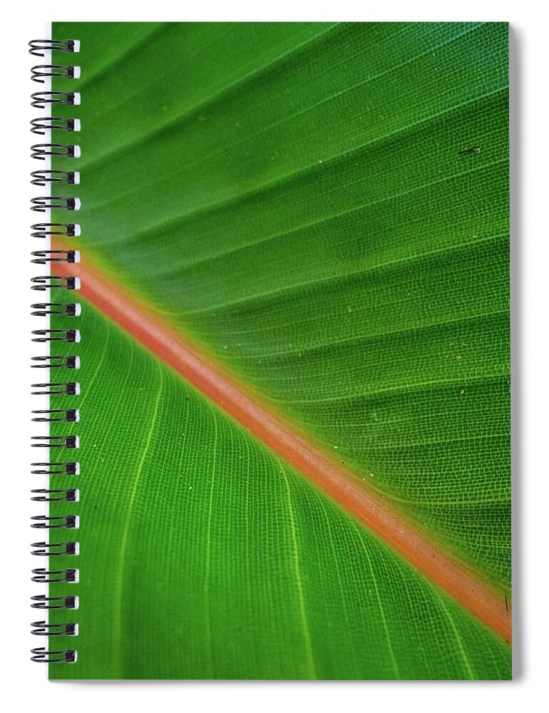 Hawaii Spiral Notebook featuring the photograph Tropical Leaf by Doug Davidson