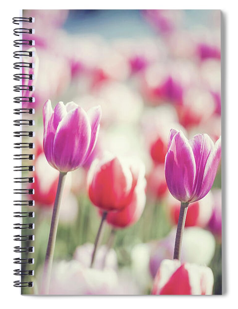 Outdoors Spiral Notebook featuring the photograph Tulip Blossom by D3sign