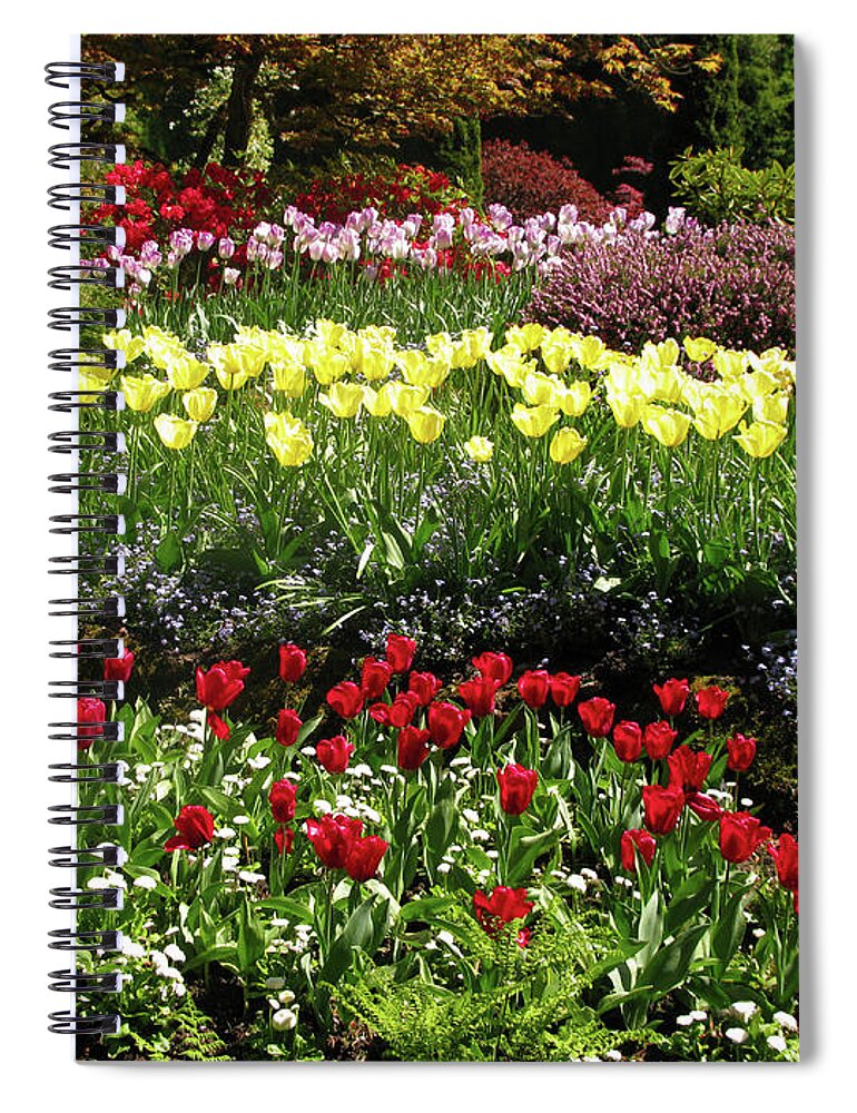 Tulip Gardens Spiral Notebook featuring the photograph Tulip Gardens by Terri Brewster
