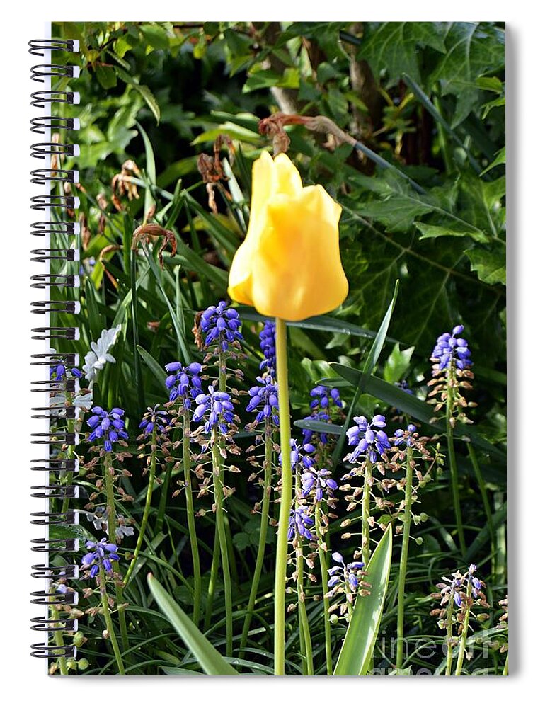 Flower Spiral Notebook featuring the photograph Tulip by Thomas Schroeder