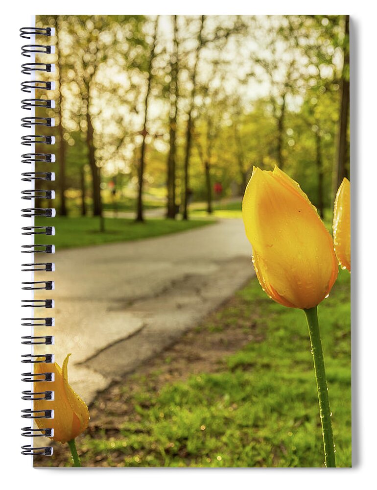 Park Spiral Notebook featuring the photograph Tulips in a park by SAURAVphoto Online Store