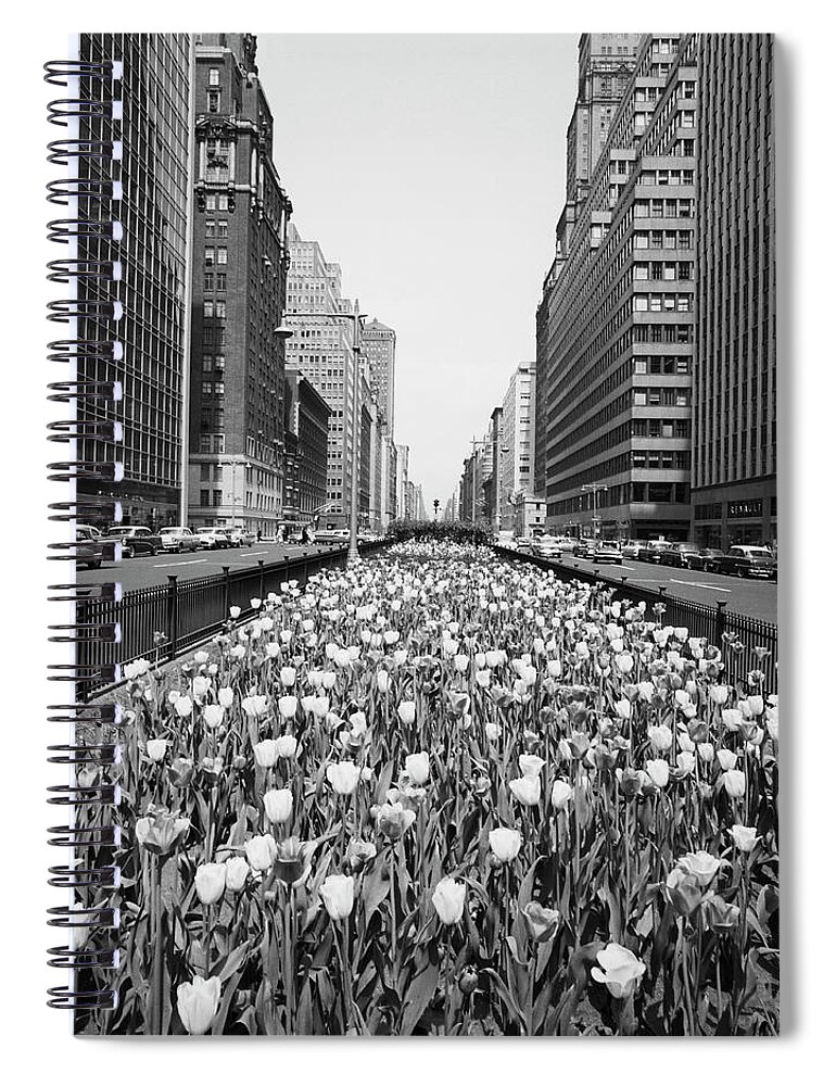 Outdoors Spiral Notebook featuring the photograph Tulips In Middle Of City Street by George Marks