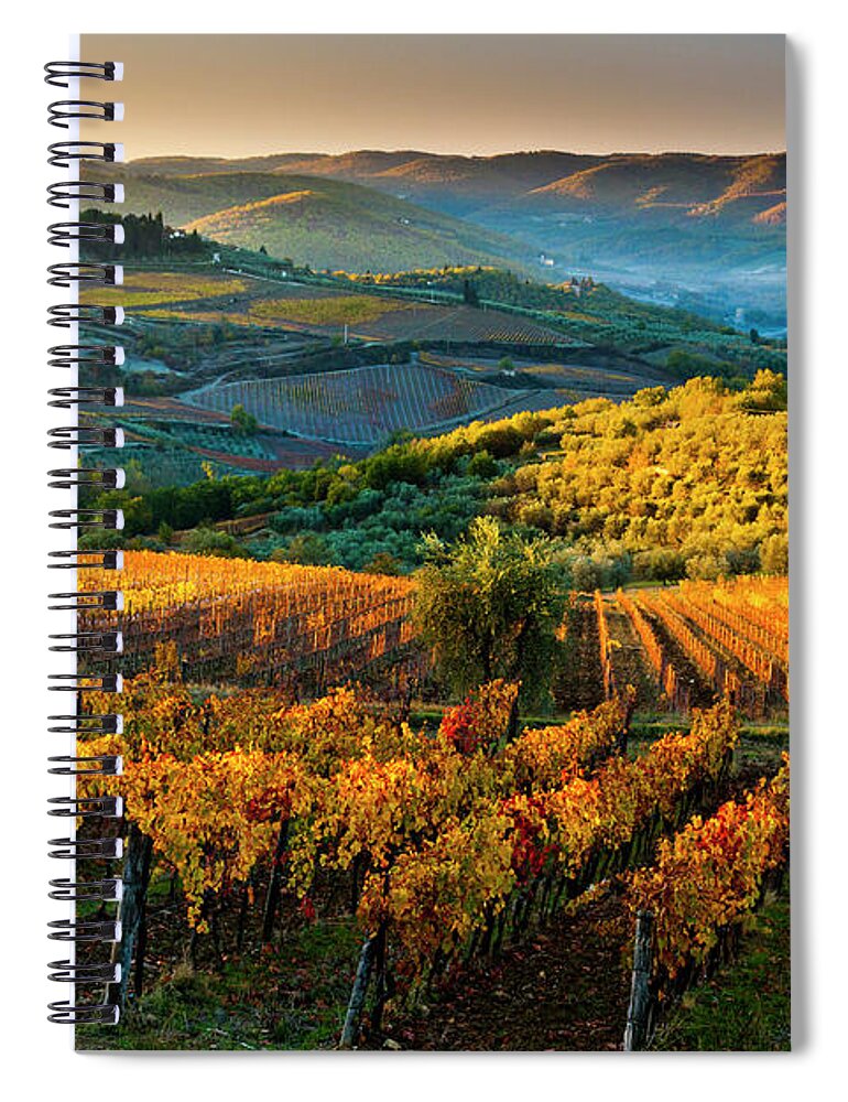 Estock Spiral Notebook featuring the digital art Tuscany, Chianti, Vineyards, Italy by Olimpio Fantuz