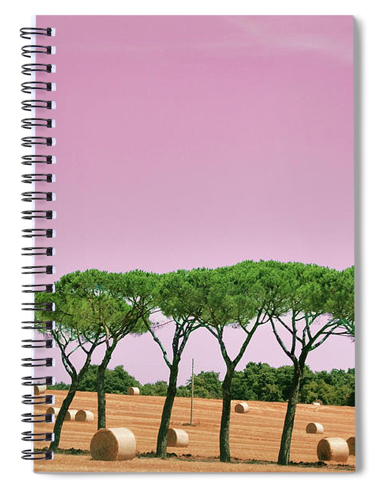 Tranquility Spiral Notebook featuring the photograph Tuscany Maremma Countryside by (c)paolodelpapa