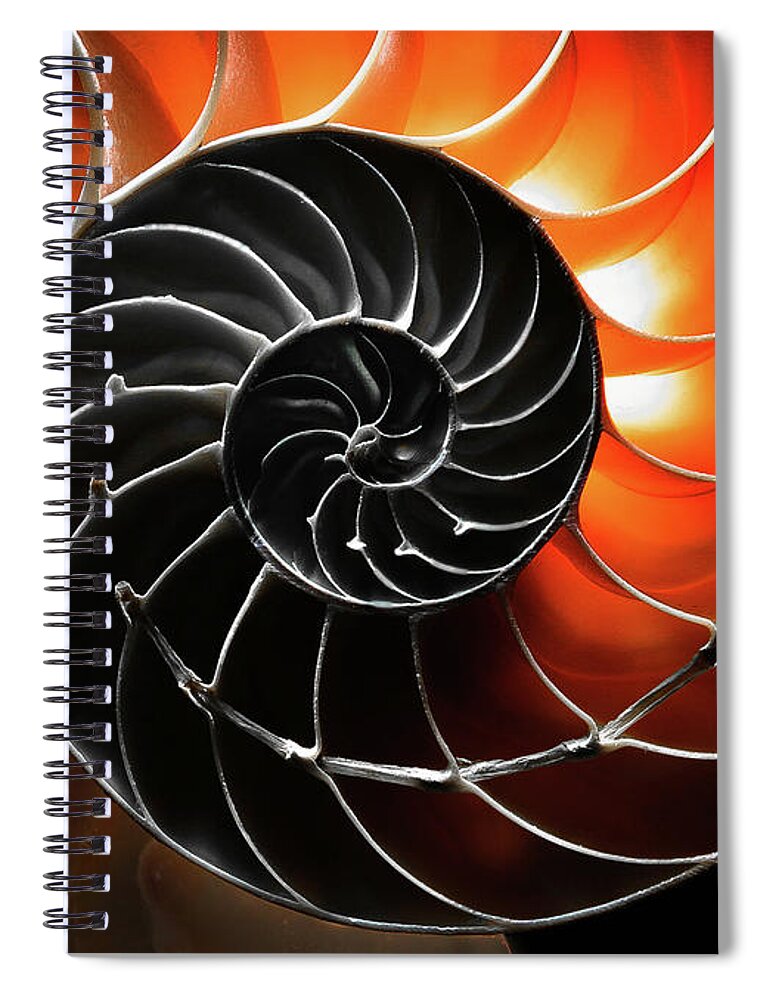 Closeup Spiral Notebook featuring the photograph Twirl by Jim Painter